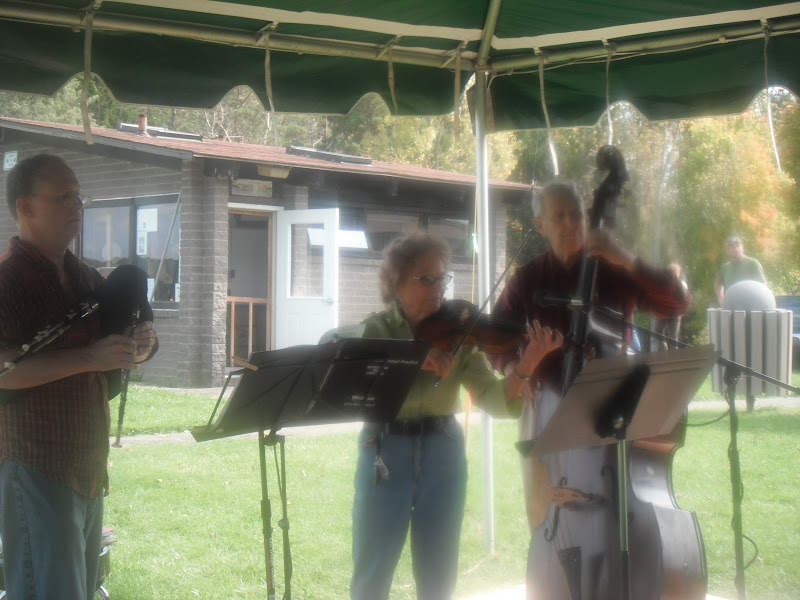 musicians performing