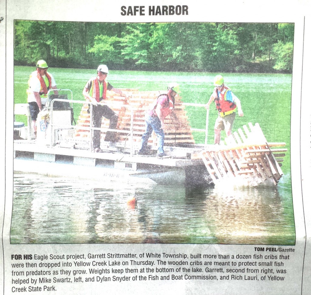 SafeHarbor-IndianaGazette2015-05-15webmed
